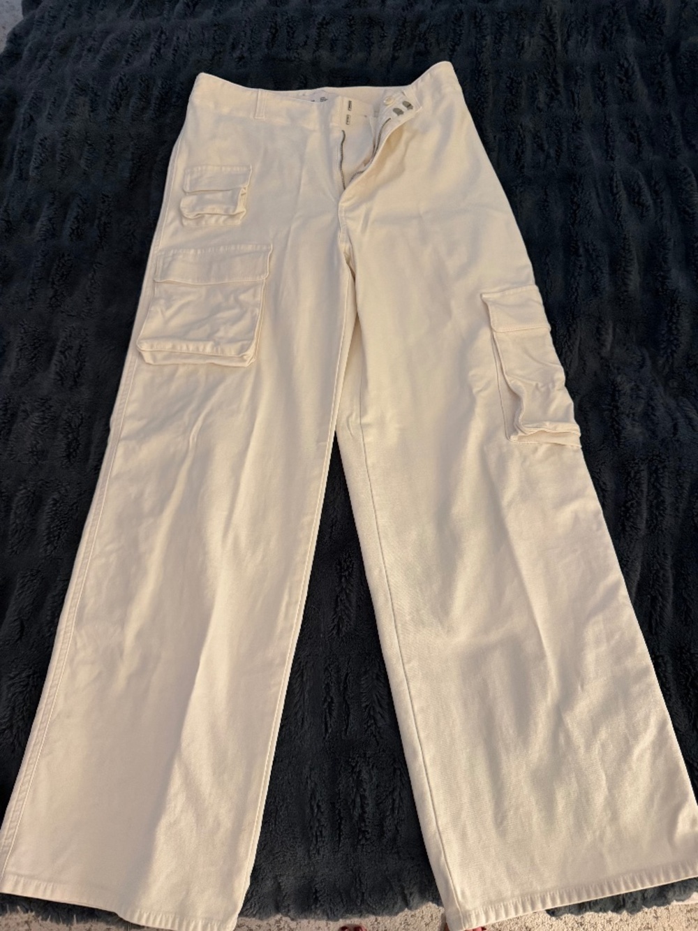 Aritzia Ivory Wide-Leg Cargo Pants